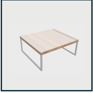 Selected input mesh